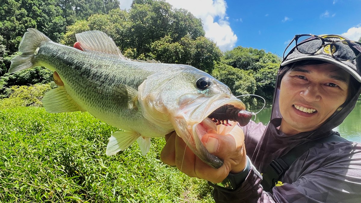 megabass_jp's tweet photo. 【Megabass Blog】【速報!】Megabassエキシビジョン大阪&スリーパーシリーズええやんかぁ!!
Megabassスタッフ HASSY
https://t.co/Vwk7S8BtEK
#megabass #mymegabass #DarkSleeper https://t.co/I5sLhXoD52