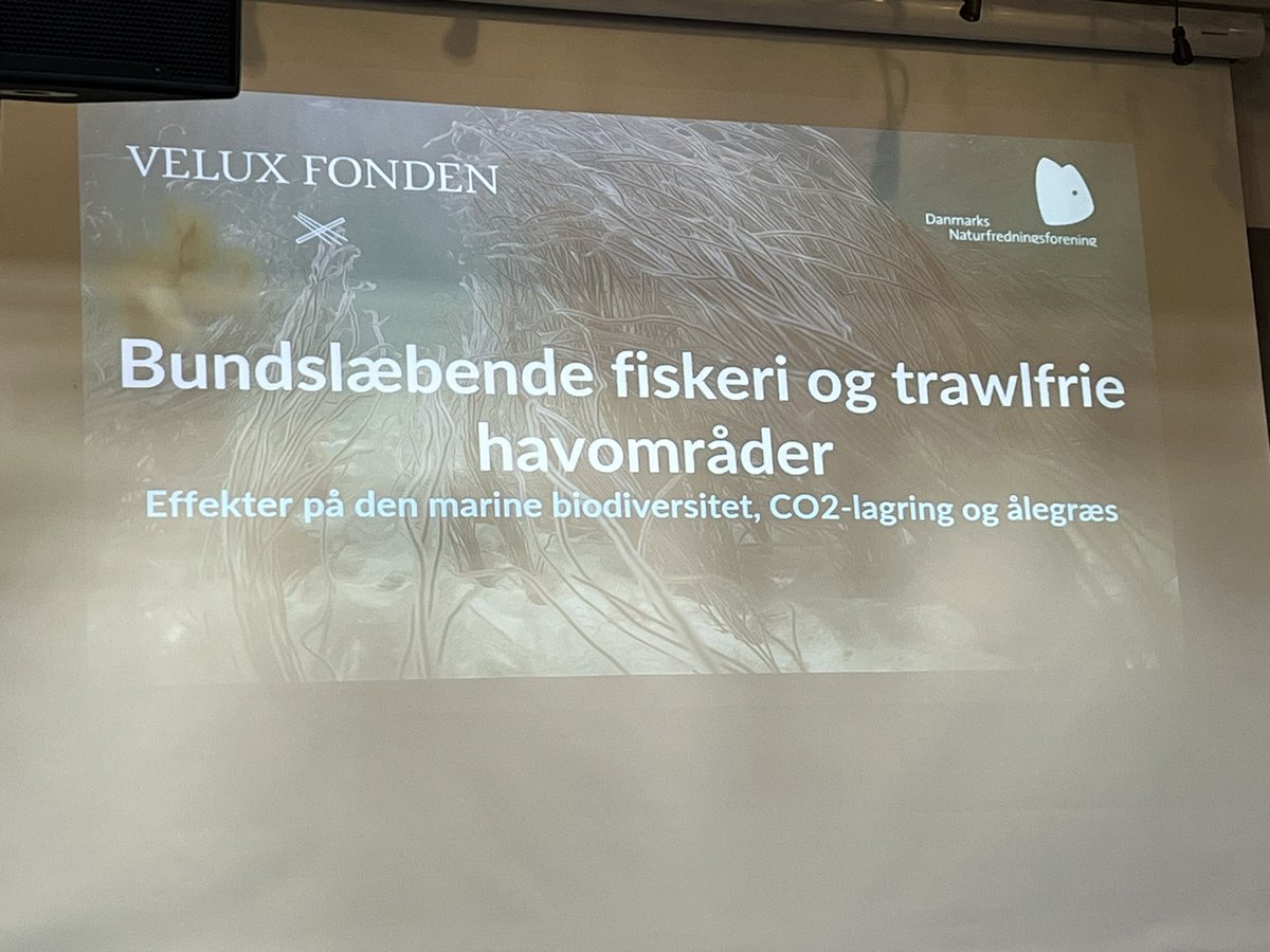 Spændende konference om effekt af trawling i havet. Regner med at være meget klogere når dagen er omme om en presfaktor i havet @NATsdu