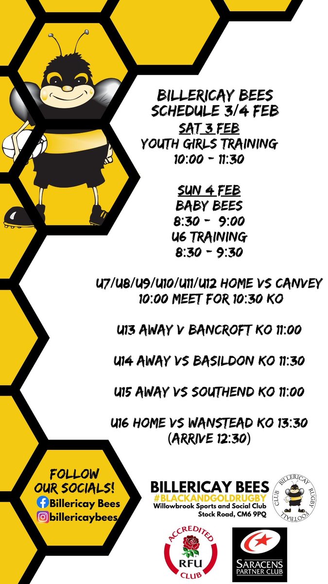 BILLERICAY BEES SCHEDULE 3rd and 4th FEBRUARY
Six Nations kicks off and a busy weekend for the Bees !