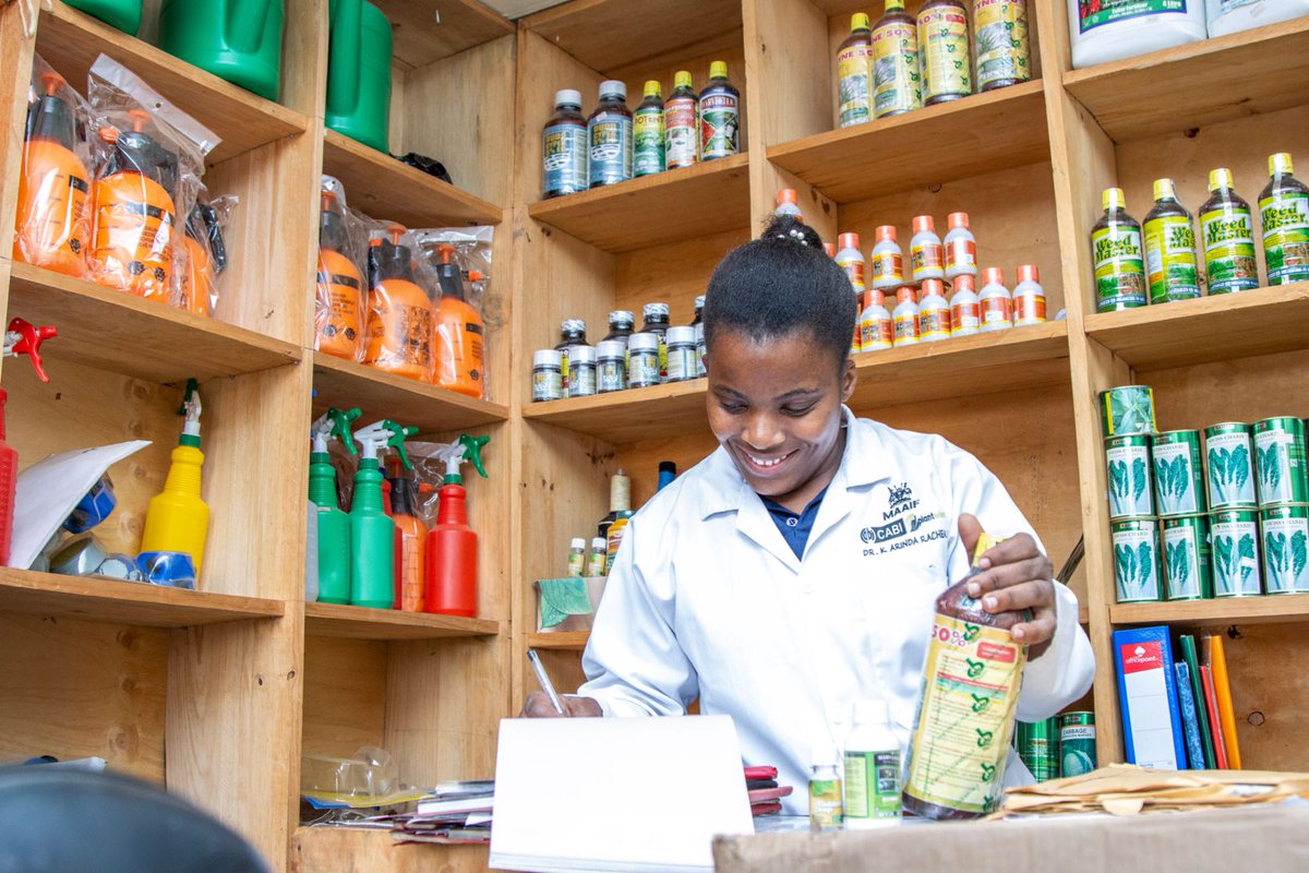 Thrilled to be a plant doctor & agribusiness owner, & to contribute to solutions towards enhancing productivity of farmers across 🇺🇬 Grateful for the pivotal role the @theSAYproject played in my success - Rachael. Kudos to @NLinUganda for funding @FondazioneAVSI 🌱 #Agribusiness