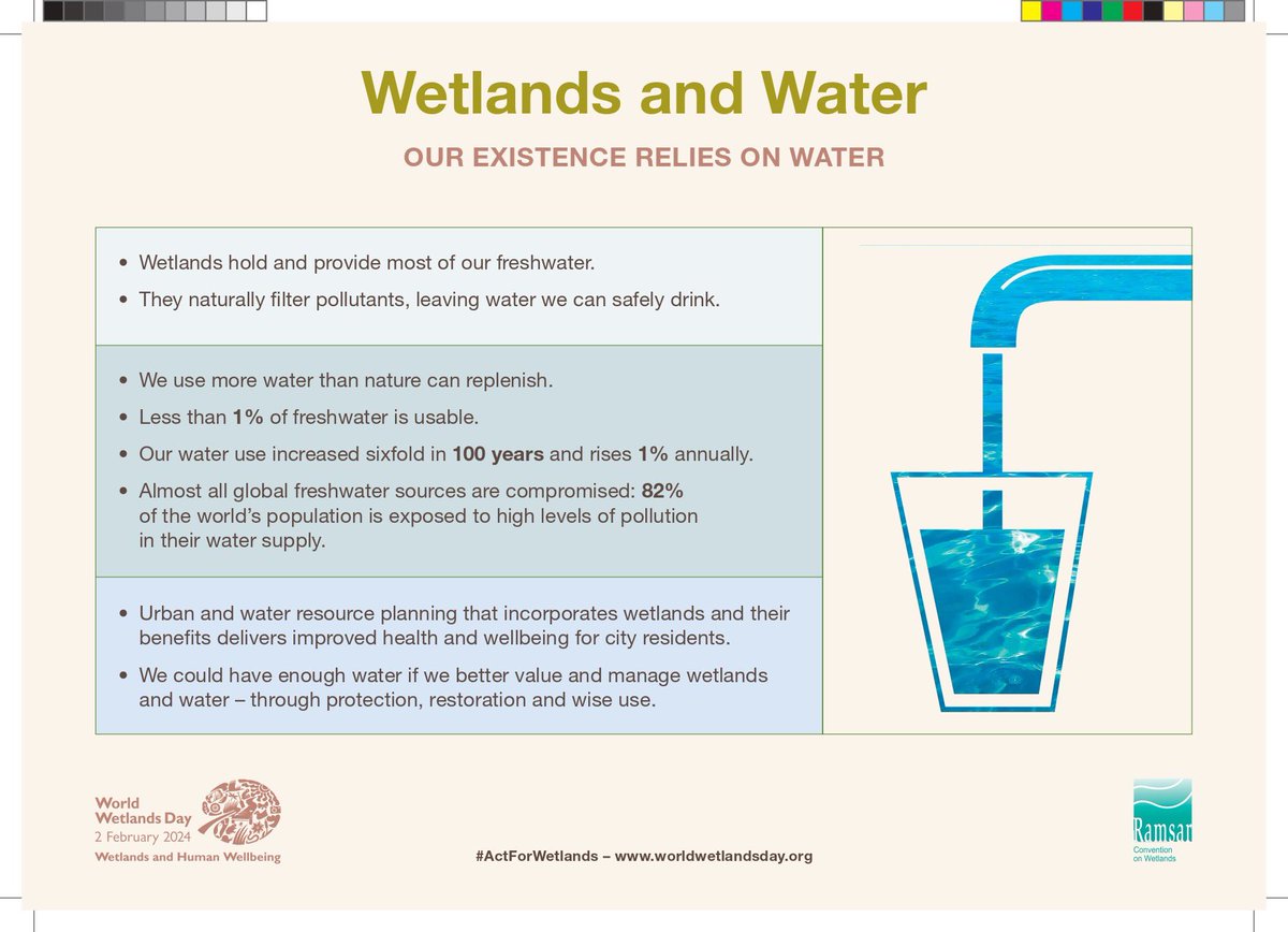 nemaug's tweet photo. Tomorrow is world wetlands Day😊
Wetlands are known as the Earth’s kidneys.🌿 Their silt-rich soil and plants naturally filter and store water.
https://t.co/9LQRFuHfcn
#ActForWetlands #WWD2024 #environmentawareness #NEMAUG https://t.co/kud5epwUlx
