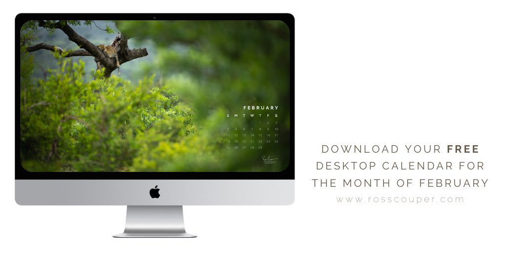Leap into it!  
rosscouper.com
#desktopcalendar #leapyear #february