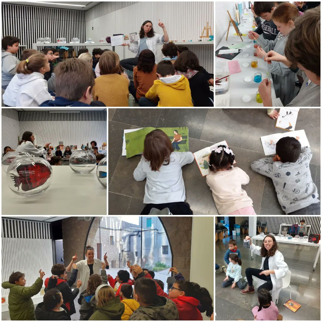 Biblioteca Solsona tweet media