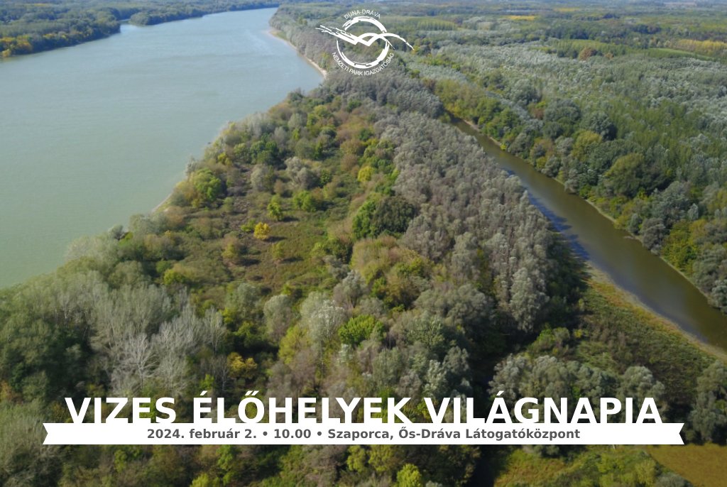 Holnapi programunk #1:
Vizes élőhelyek világnapja
ddnp.hu/okoturizmus/pr…