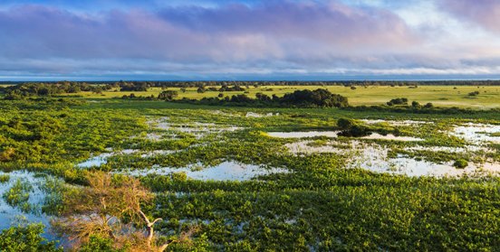 AECID_es's tweet photo. En el #DiaMundialdelosHumedales conoce el Pantanal: Una reserva vital para América Latina y el Caribe, proyecto de @el_BID, #UE y @CooperacionESP de gestión hídrica de recursos en Bolivia, Brasil y Paraguay.
+info👉 https://t.co/zlwaSXcw3o 
#AECIDAGua #FCAS #SomosCooperación #ALC https://t.co/eL8siNm5V7