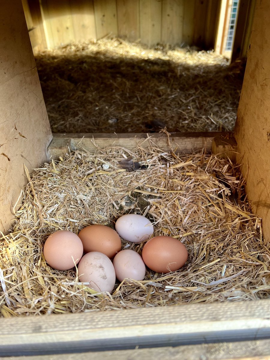 Lesley A Dobrée tweet media