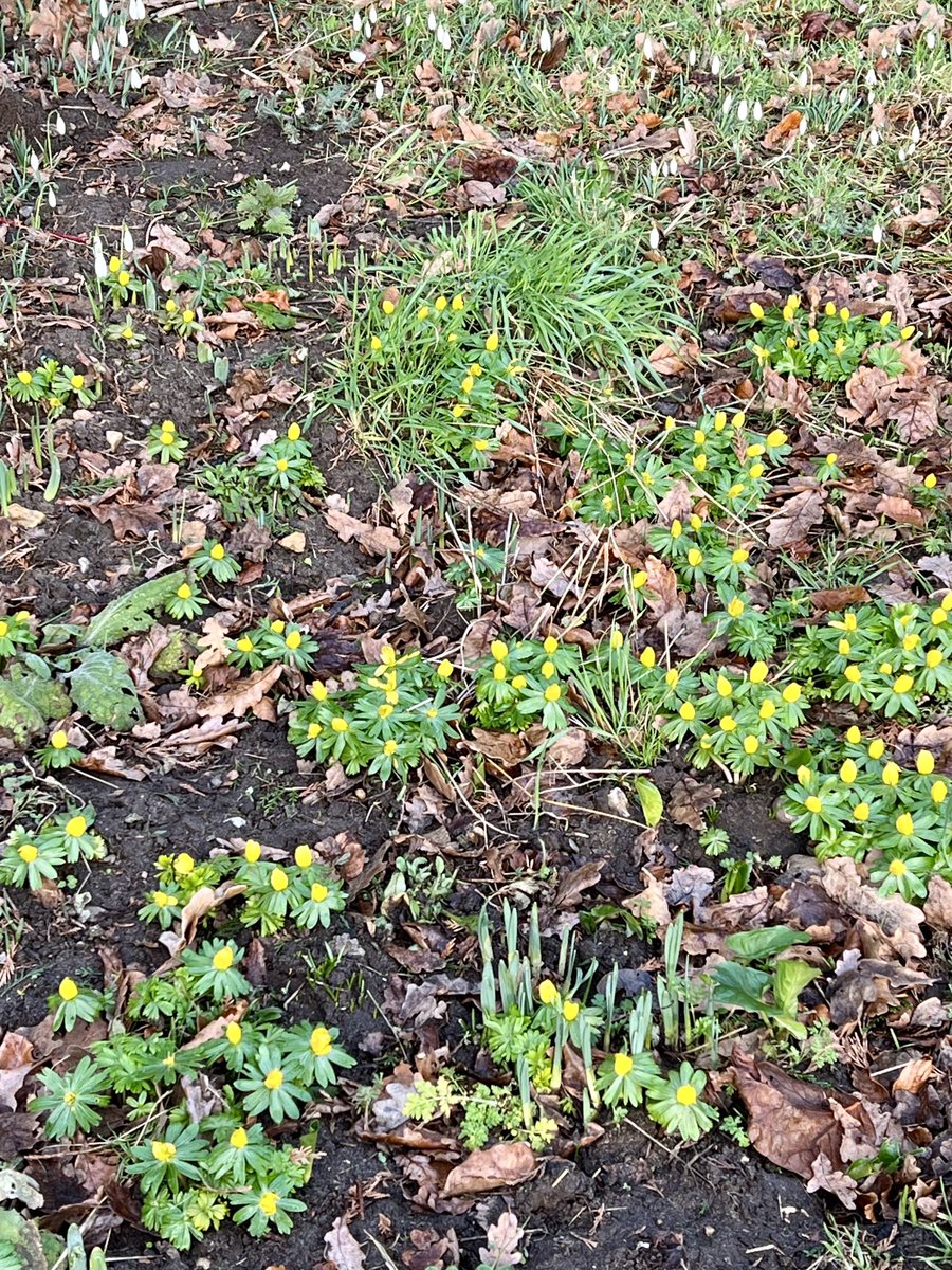 Lesley A Dobrée tweet media