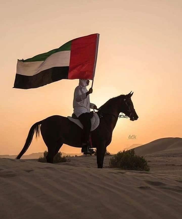 Nda_5a's tweet photo. دول ستكون قوى عظمى بعد ( 5 سنوات ) !! https://t.co/UR7qvyEJFt
