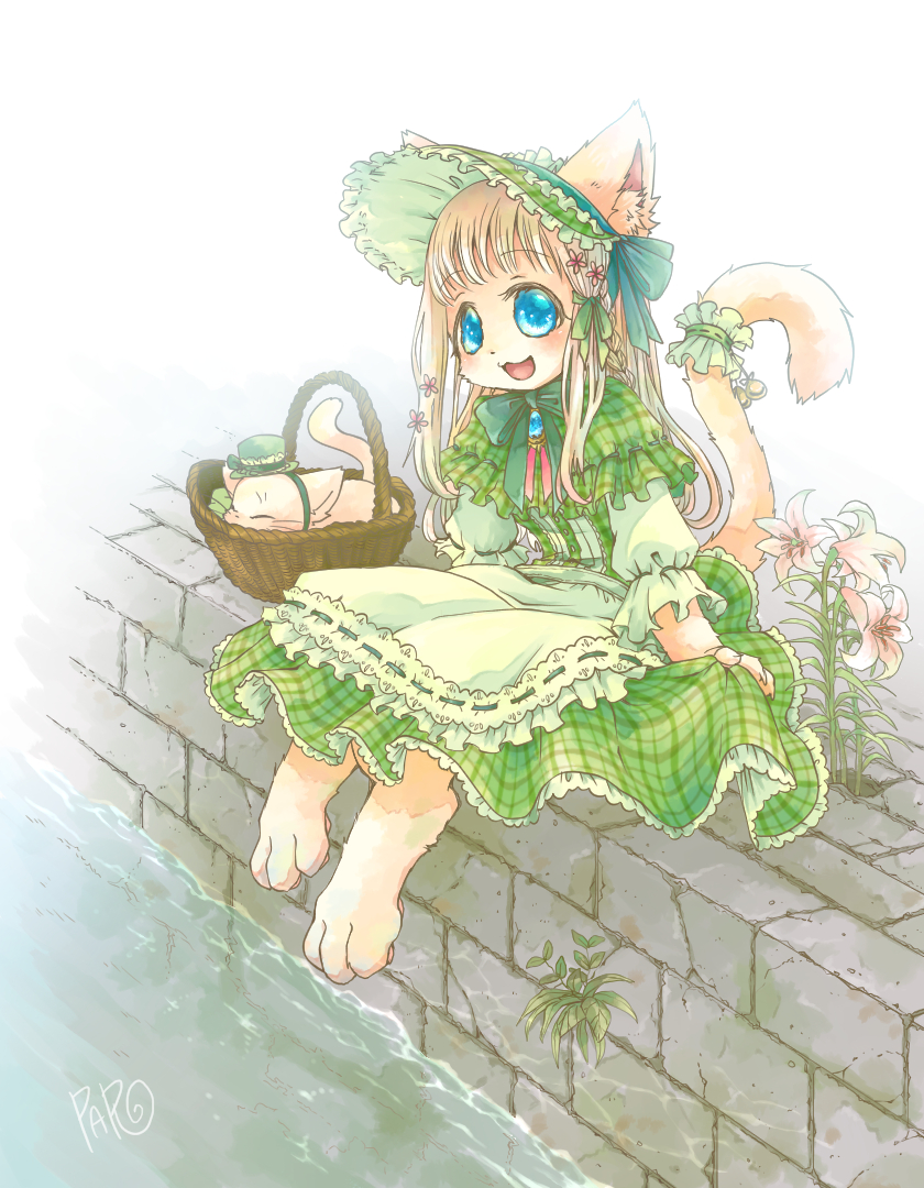 風海PARO tweet media