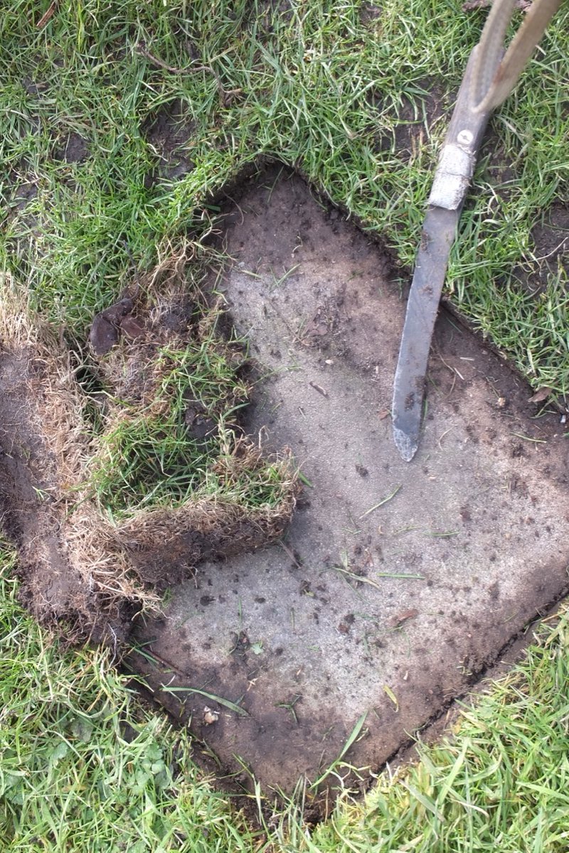 been trimming the grass where it's grown over the edge of the slab path, really fibrous roots, sand and fine soil, so packing the bits into black plastic sack, kept warm and moist it'll turn into fibrous loam which will make excellent sowing or potting compost