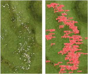 Chameleon_HEU's tweet image. 6⃣⏩ We continue with #livestock bundles, but this time with sheep and goats! Herd management and individual monitoring by AiDEAS OU

In this bundle, we analyze video frames to achieve detection and localization of sheeps and goats 🐑 🐐
using #ImageRecognition and #Drones
