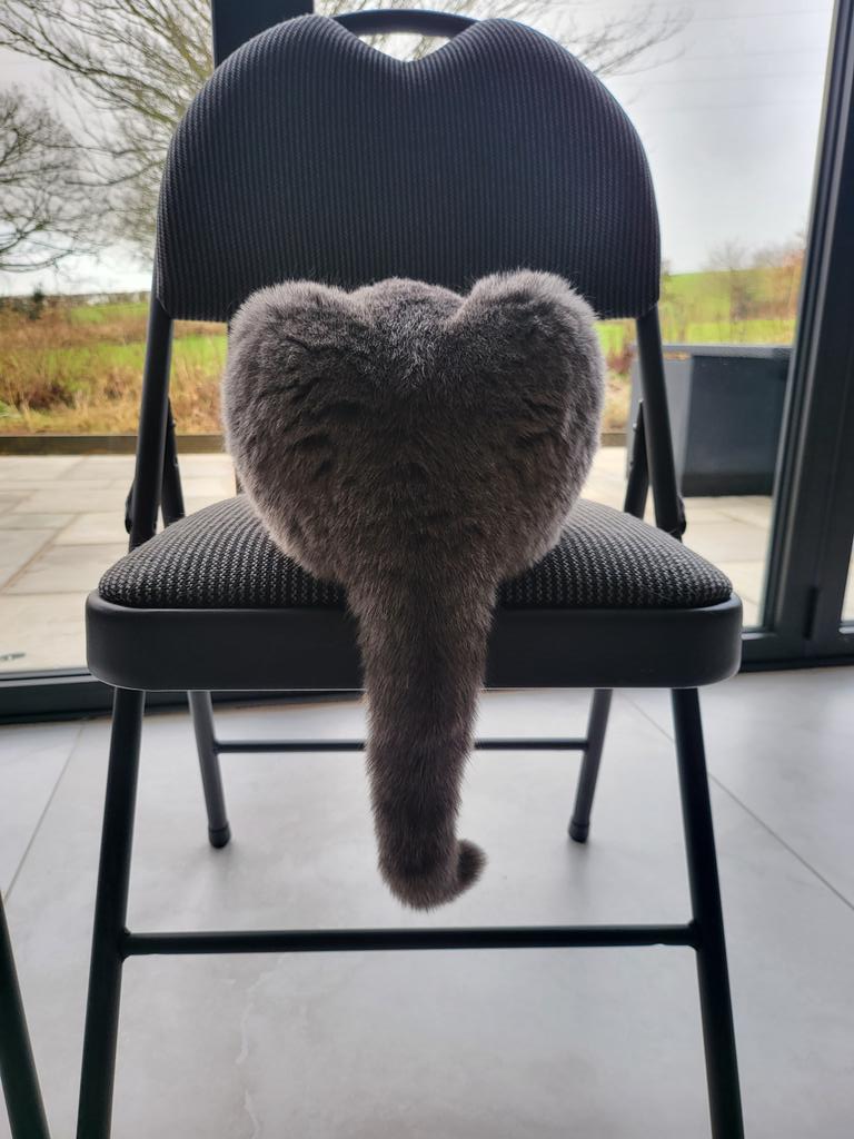 Anyone seen the cat?? Lost the cat and seemed to have gained an elephant....🤣🐘🐘
#CatsOfTwitter