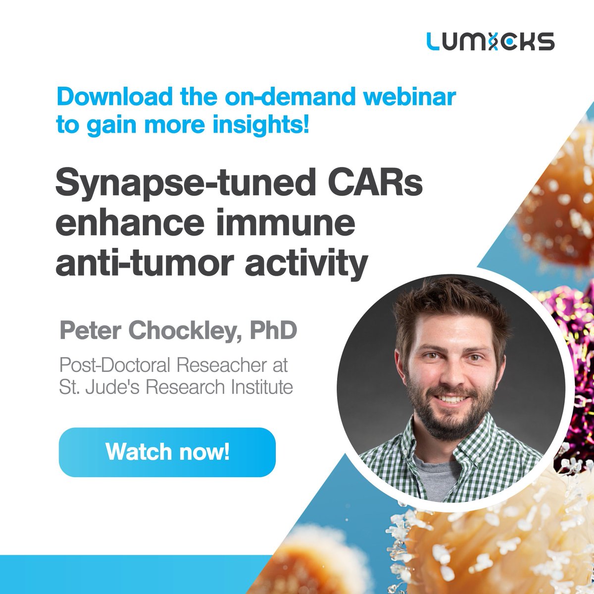 Measuring #cellavidity enabled scientists to identify robust #CAR#NKs that efficiently kill solid tumors. Enhanced avidity in CAR-NK therapies using a molecular anchor helps fine-tune synaptic interactions. Learn how avidity can transform CAR-NK design bit.ly/3SGXCif