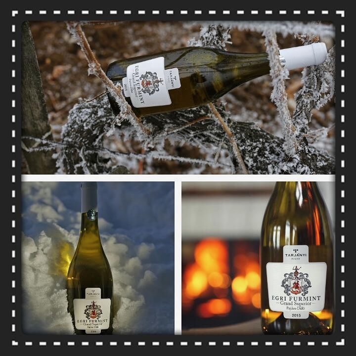 Happy Furmint Day! It’s the most planted grape in Tokaj (Hungary), typical flavours include lemon, apple and pear which can develop into honeyed and nutty notes with age. #thewinebuff @tarjanyipince #furmintday #celebratewine #whitewine #hungarianwine #eger #grandsuperior