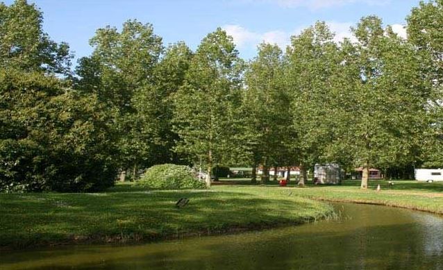 We Accept Pets tweet media