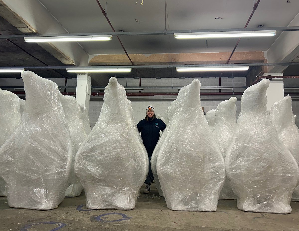 WarrensOfWorc's tweet photo. They’re here! 🐧✨🐧

Eighty penguins have arrived in Worcester ready to slide into your hearts and camera rolls from 22 July.

A big thank you to the team at @CrownGateWorc for helping us take safe delivery of our feathered friends.

#WorcestershireHour https://t.co/oNdweKlDhs