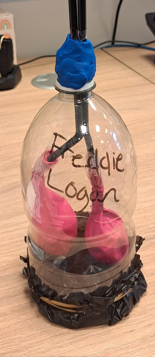 Mr Snymans year 9's have been making model lungs this morning 🫁 
We think this working model is fantastic! 
Well done Freddie and Logan!
🌟 
<a href="/acc_academy/">Accrington Academy</a> #educationwithcharacter