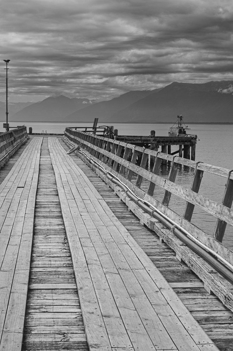 End of the road, Jacksons Bay, New Zealand