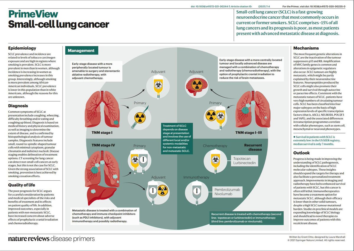 imedverse's tweet image. Infographics: Small-cell lung cancer

@DiseasePrimers #pulmonary #pulmtwitter #pulmonology #respiratory #internalmedicine #TipsForNewDocs #MedEd #MedTwitter #medicine #medical #medicare #health #healthcare #FOAMed #ClinicalPearl #clinicaltips #MedStudents #lungcancer