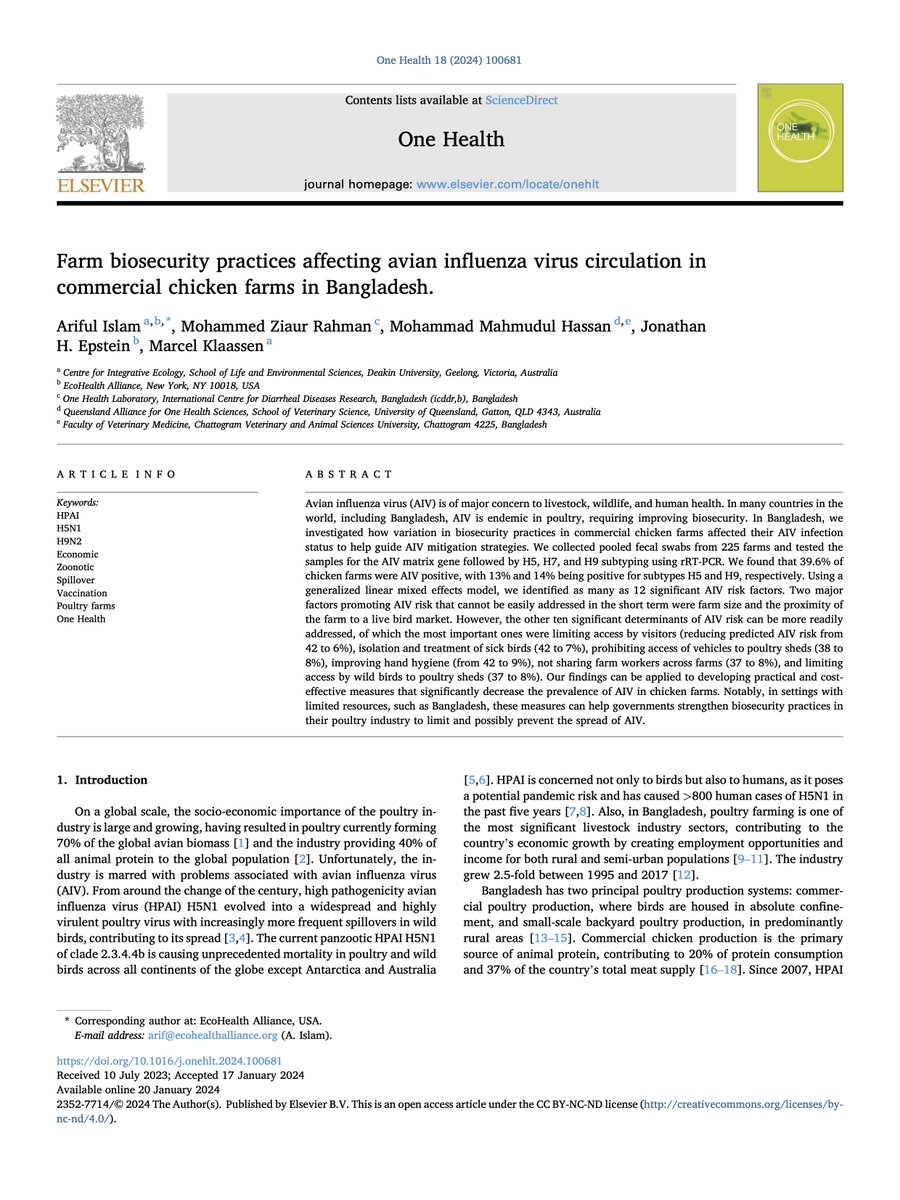 Ariful  Islam tweet media