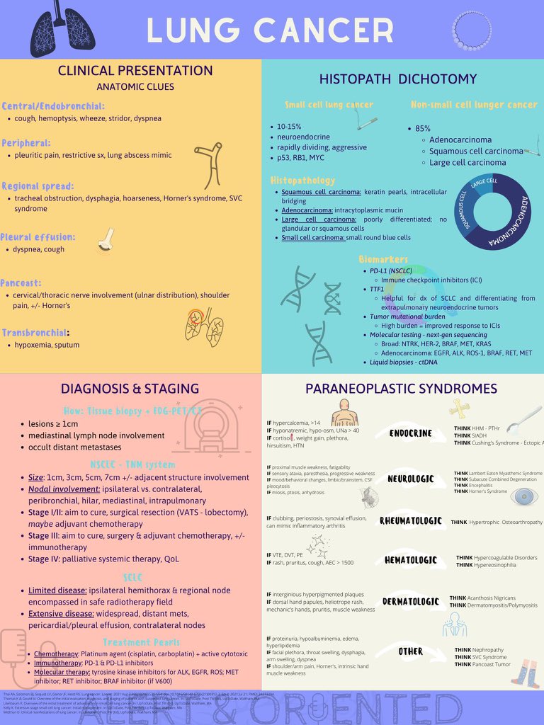 imedverse's tweet image. Best infographics for LUNG CANCER

@Alert_Oriented3 @imedverse #pulmonary #pulmtwitter #pulmonology #respiratory #internalmedicine #TipsForNewDocs #MedEd #MedTwitter #medicine #medicare #health #healthcare #FOAMed #ClinicalPearl #clinicaltips #MedStudents #cancer #lungcancer
