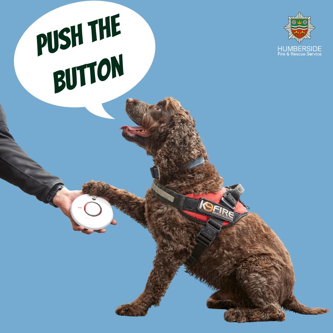 HumbersideFire's tweet image. Start February right by testing your smoke alarms today. 🕰️🔊 It only takes a moment, but it could save a life. Share the reminder! 💙 #SafetyFirst #CheckYourAlarms 🏡🔥

#PushTheButton