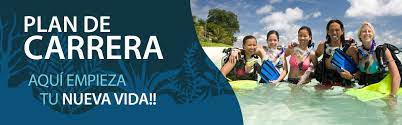 Nonstopdivers's tweet photo. PLAN DE CARRERA PADI.
https://t.co/quWlfTVtG0 https://t.co/aijQGdL48c