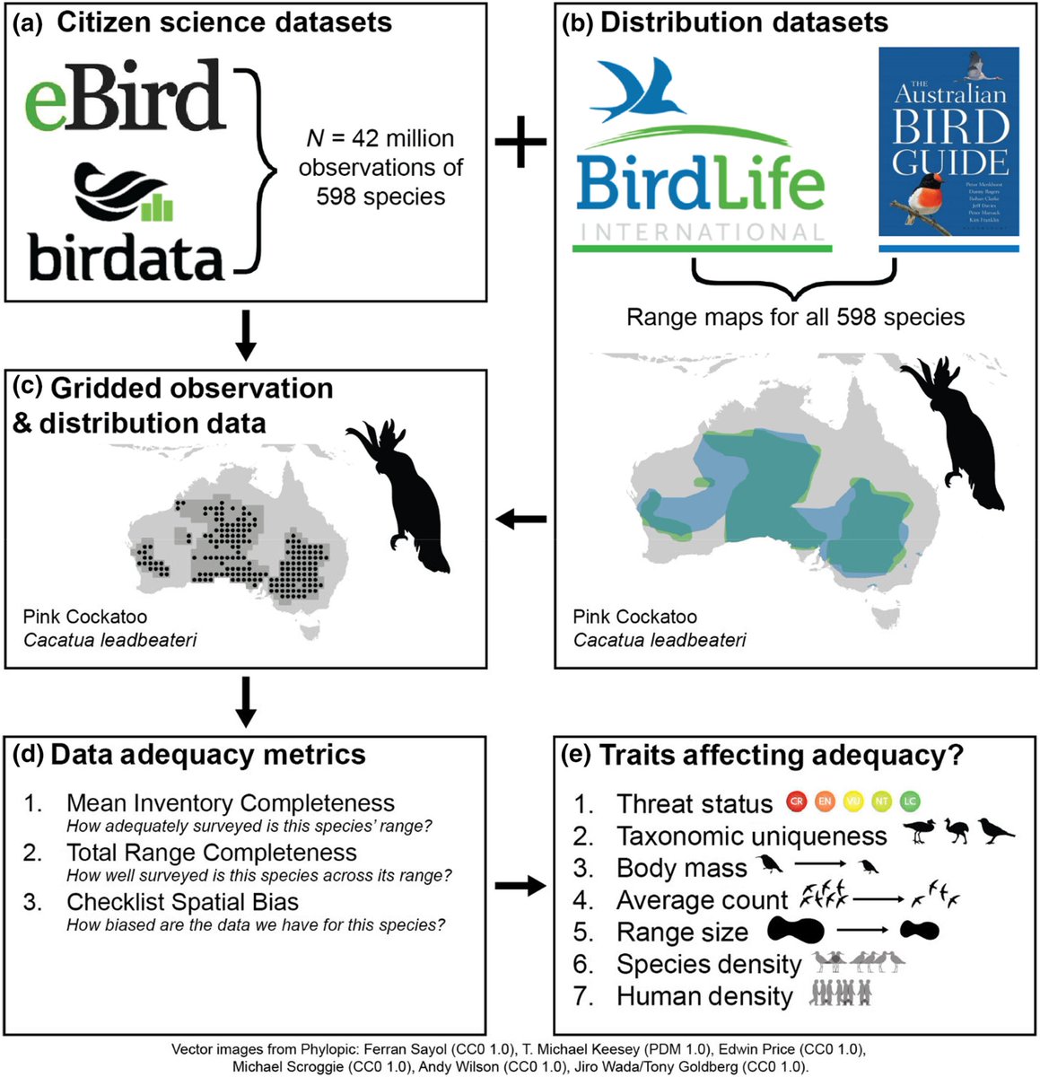 New #CitizenScience paper out today with @cyclonewatson @callaghanct and colleagues: Can we quantify how adequate citizen science data are? We develop metrics to answer this, and then explore adequacy in @Team_eBird & @BirdlifeOz data across Australia. onlinelibrary.wiley.com/doi/10.1002/ec…