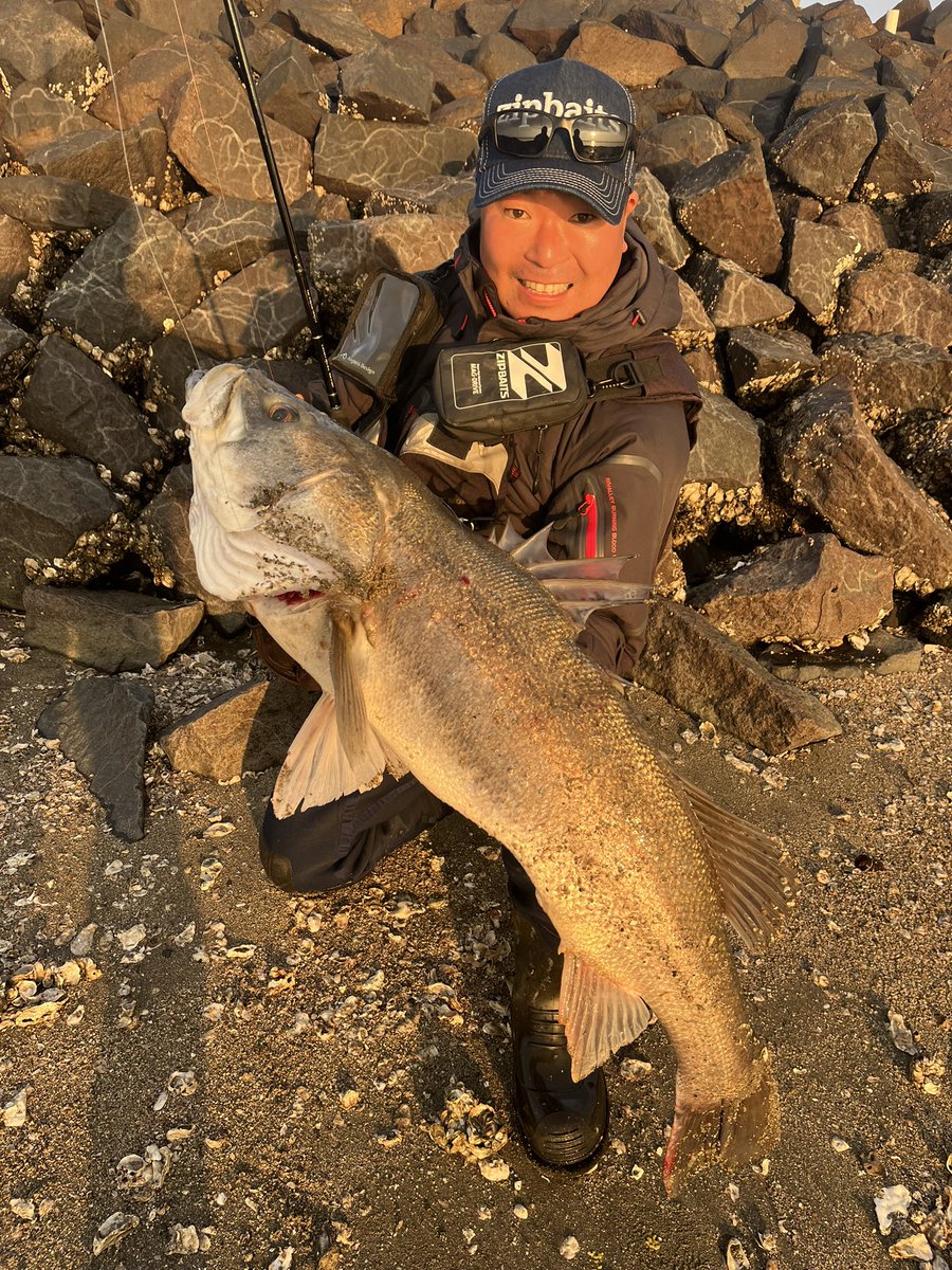 大内紀幸 tweet media