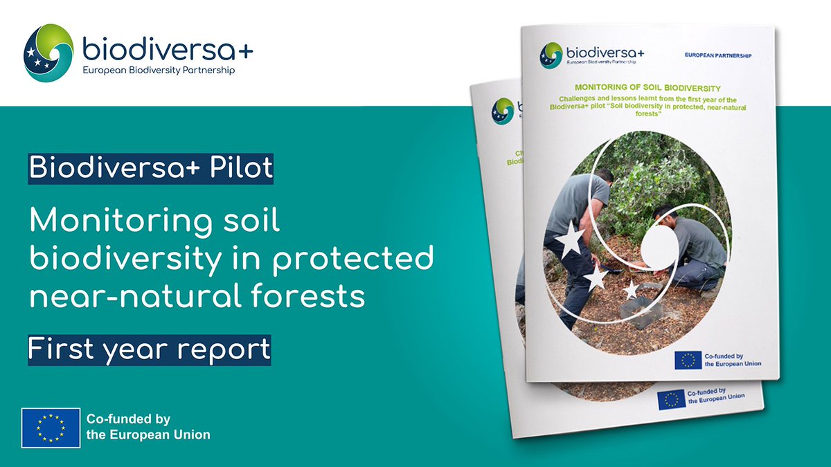 🌱🐛🦠🔬The impact of global change on soil biodiversity is still poorly understood. Learn how the Biodiversa+ pilot on soil biodiversity in protected forests across Europe is providing insights for conservation and restoration: 👉 biodiversa.eu/2024/02/01/pil… #SoilBiodiversity