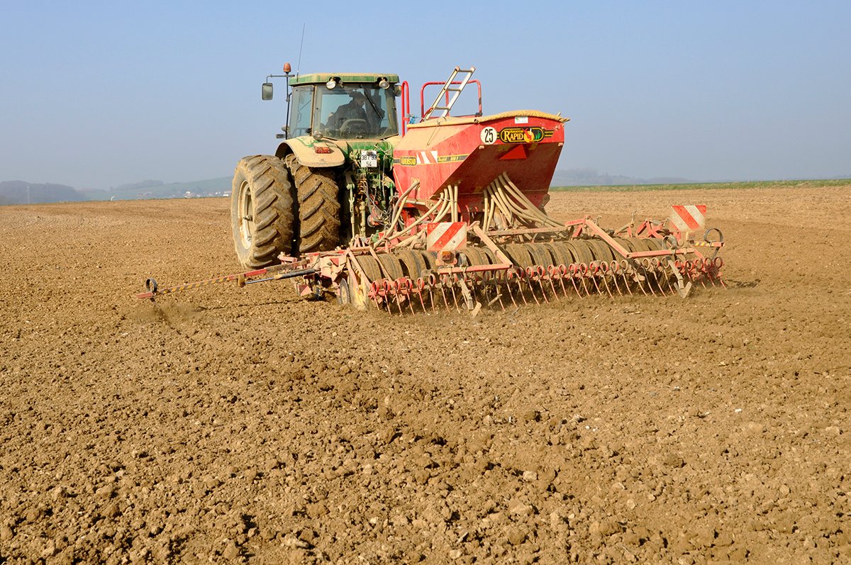 Clarisse_TI_NE's tweet image. Semer son #pois de printemps précocement est l’un de principaux leviers pour limiter les risques climatiques pour Aurore #terresinovia .
Attention tout de même à semer dans des conditions ressuyées et à bien préparer le lit de semence.
terresinovia.fr/-/implanter-un…