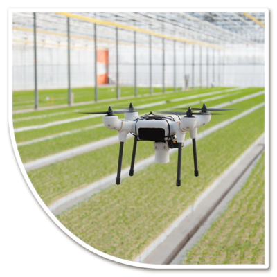 Wij hebben een leuke uitdagende vacature openstaan! We zijn opzoek naar een Programmeur - ICT Specialist. Iets voor jou? Check onze website... globeplant.nl/vacatures/prog…