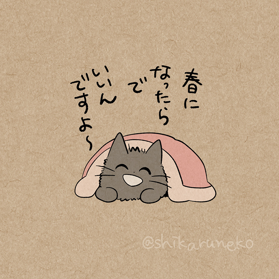 ひどく寒い日の あまやかすねこ