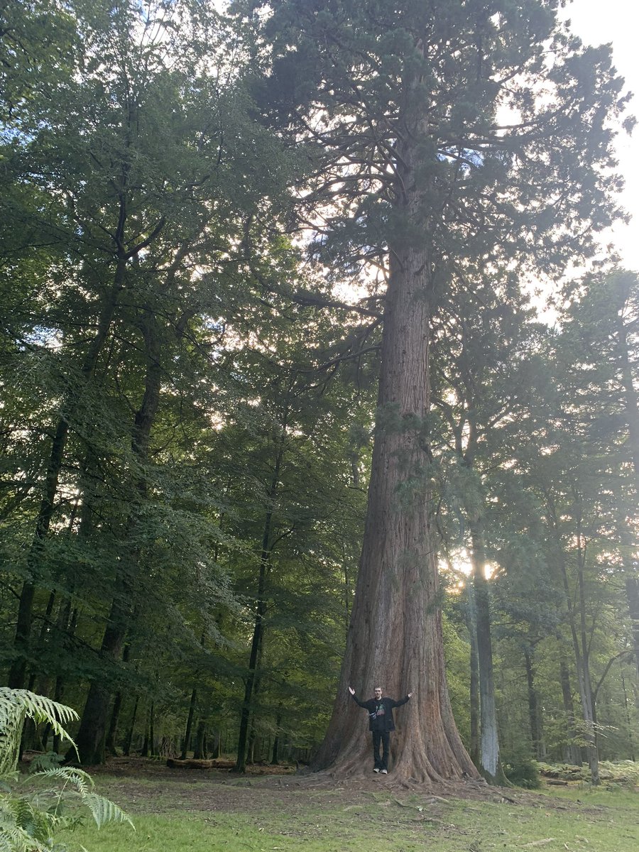 dangerousdan115's tweet photo. The woods @MRCharlieRA 🌲 https://t.co/SgcGlJAJi0