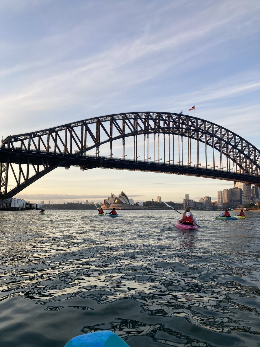 Dylan Kilgallon tweet media