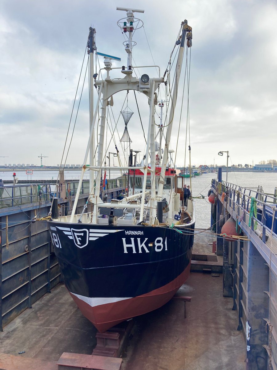 LuytGroep's tweet photo. 'Hannah’ & ‘Hillegonda’ pronken in #dok met onze Piet.
Onze dokbaas en zijn Dokploeg brengen de HK-81 #Harderwijk & TS-10 #Terschelling in de beste positie voor verwijderen van aangroei en reinigen #onderwaterschip met #zoet #water💦. Klaar voor #conserveren en #onderhoud🦐🐟 https://t.co/ASvFanuncX
