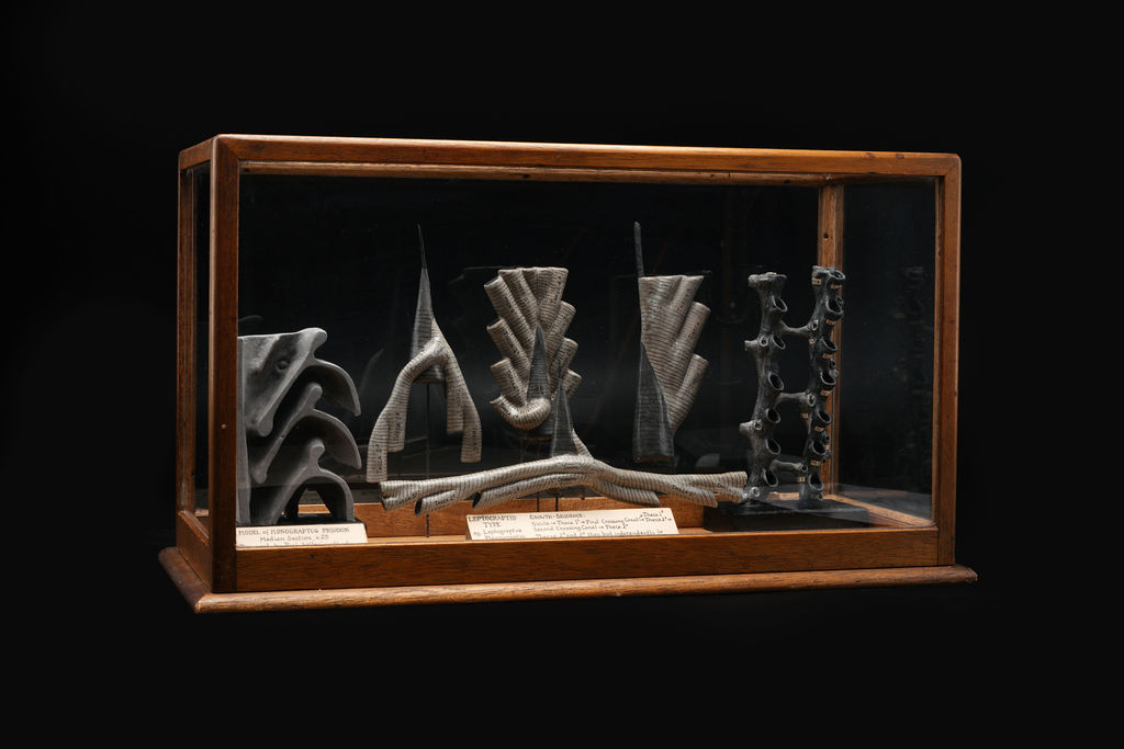 lapworthmuseum's tweet photo. Throwback to how geology students once learned about graptolite morphology! This teaching aid was used at @unibirmingham in the early 20th century. Try to zoom in and spot some of the features!

#ThrowbackThursday #LapworthRocks #graptolite #geology #fossil @geology_bham https://t.co/HMcYgWmPLW