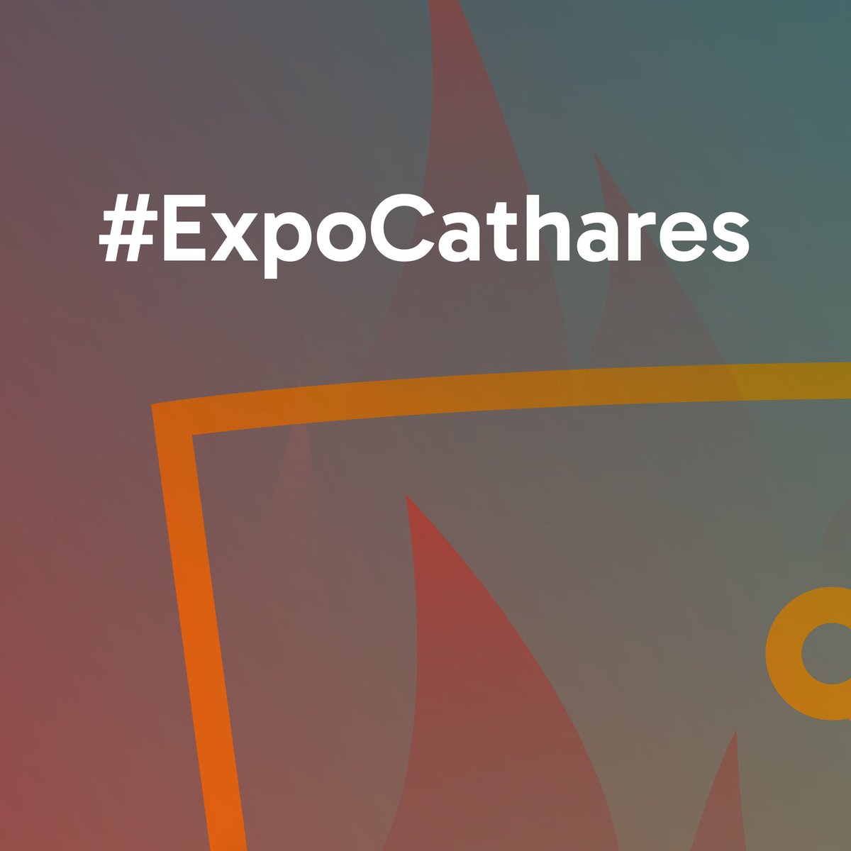 Musée Saint-Raymond tweet media