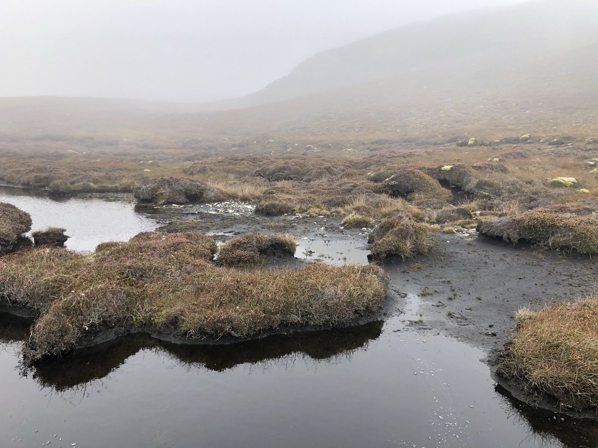 It's World Wetland Day! It has me thinking about my favourite wetlands, like these two: on Lewis, Outer Hebrides, and on Muckle Roe, Shetland #WorldWetlandDay