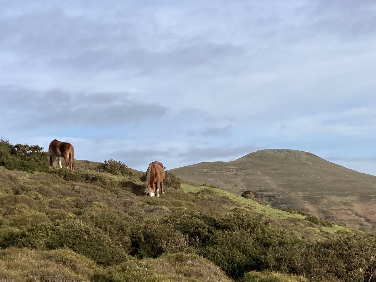 Ty Carreg tweet media