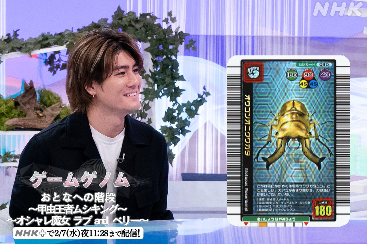 ムシキングカード　フルコンプ ムシキングカード 2005ファーストバージョン 【フルコンプ