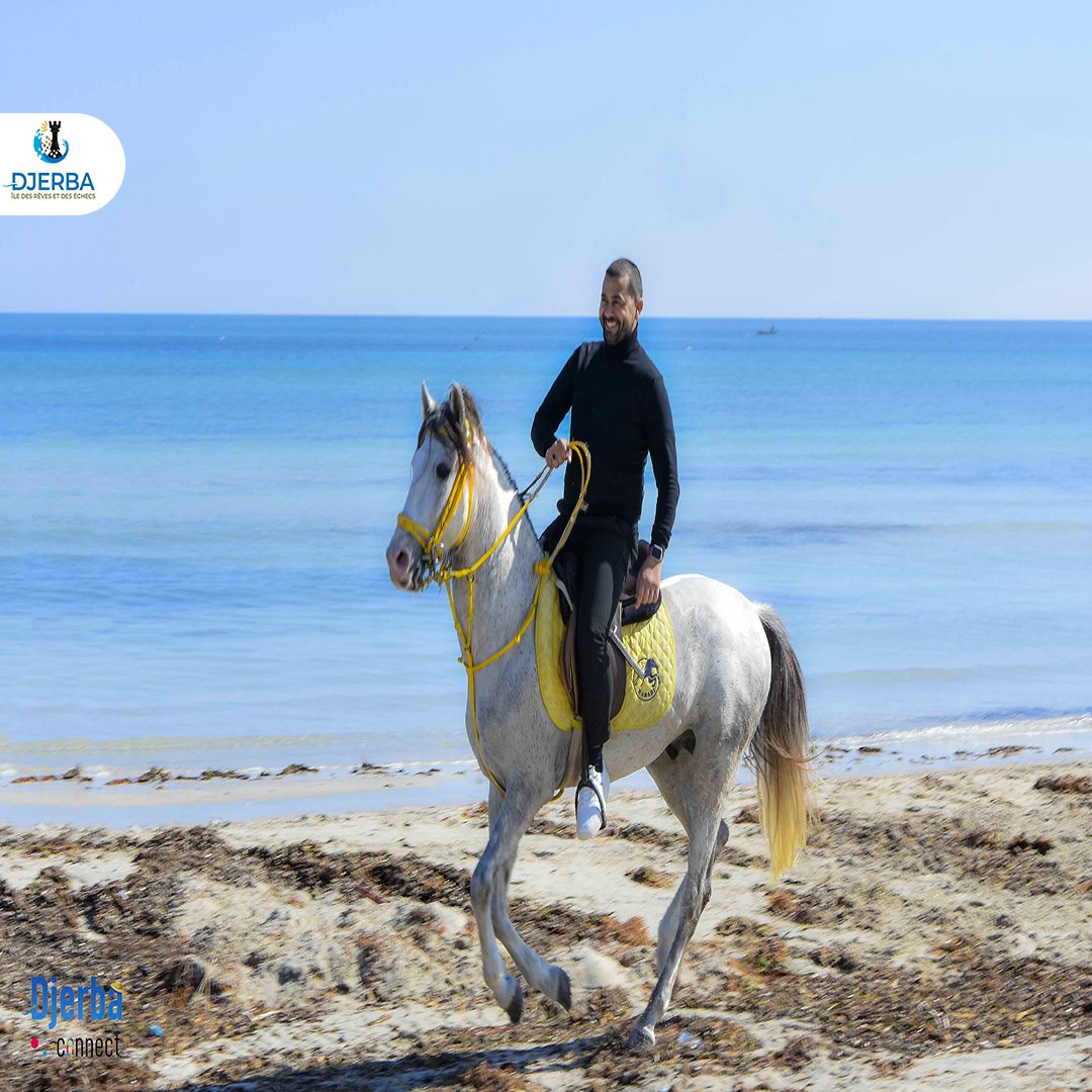 Djerba Chess Festival tweet media