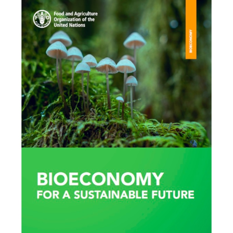 📖In just 8 pages, you can find out what #bioeconomy is and why it’s essential for #sustainable food and agriculture and our future 🌎 👉 bityl.co/I0mV @FAOclimate #fornature