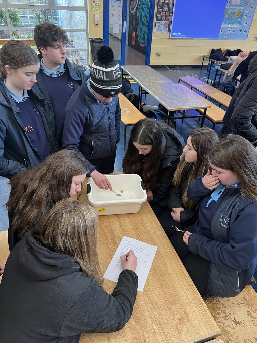 Ramsgrange Community School Geography tweet media