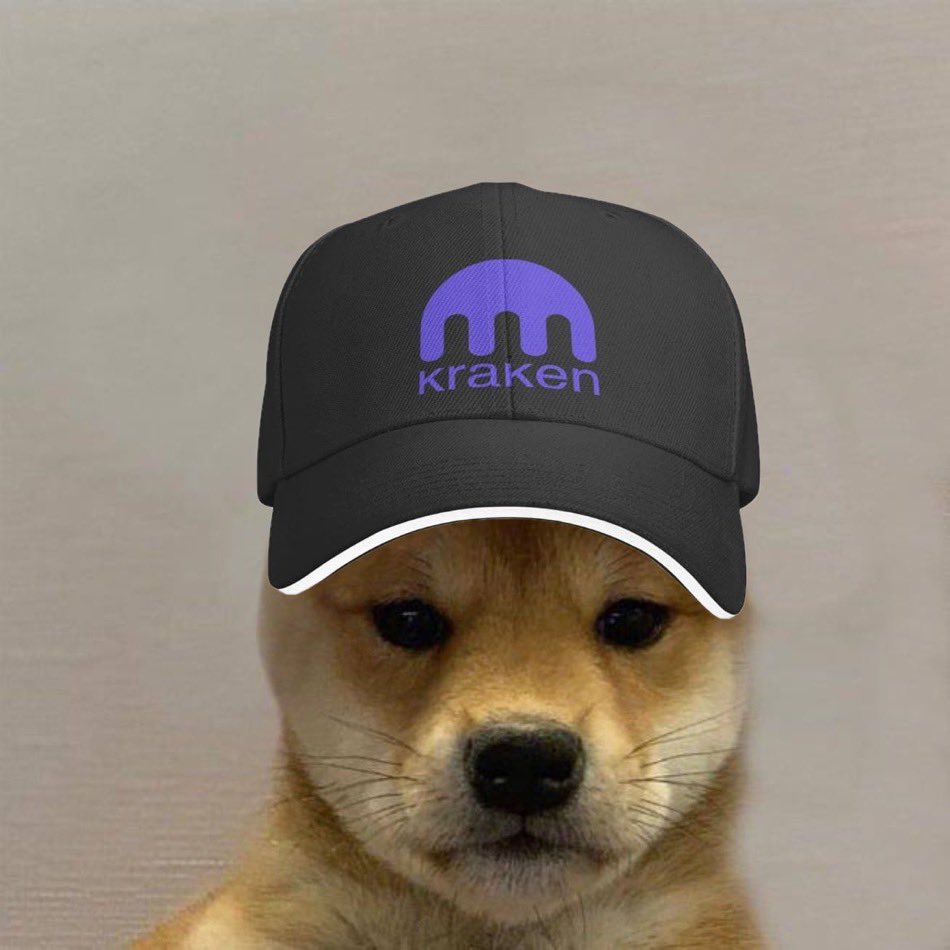 dogwifcoin tweet media