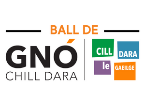 Cill Dara le Gaeilge tweet media