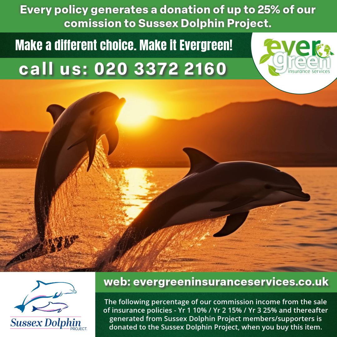 🌿🐬 Choose ethical insurance!  🌍 With Evergreen Insurance, up to 25% of our commission goes to Wildlife Charities. Proud partners with @sussexdolphin . Your policy, your impact! 🌊💚 #InsuranceWithPurpose #SussexDolphinProject #EvergreenInsurance