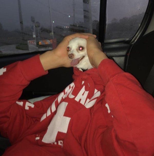 Juanicar2's tweet photo. Hoy en lugares donde te podes encontrar a juanicar unas pibas me cruzaron mientras estaba en el DIDI MOTO y el conductor me tiro QUIEN SOS PORQUE TE MIRAN ASI https://t.co/CD9KwmUeux