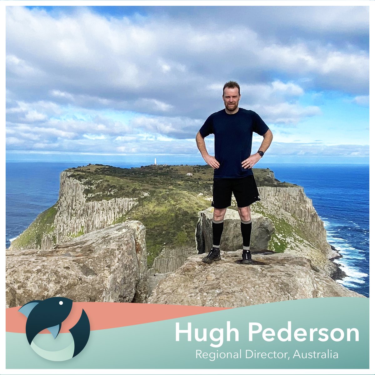 Innovasea tweet media