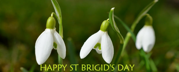 Happy 1st February!

#stbrigidsday
#spring
#newbeginnings